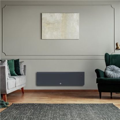 Radiateur à inertie Equateur 4 Bas 1000 Watts Ardoise