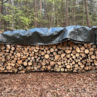 Brennholz 10RM Kiefer und Fichte