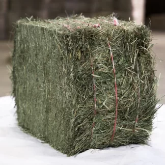 Foin de Crau 3ème coupe 30 bottes de ~25 kg / Commande mini 5