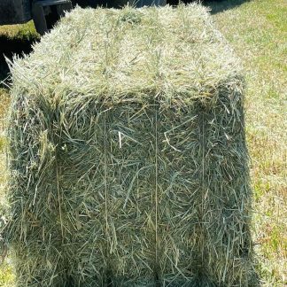 Haferheu – pro Tonne – Mindestbestellmenge 10 Tonnen