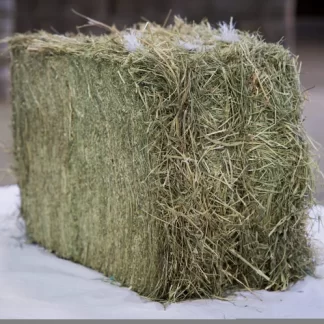 Le Foin de Longchamp 30 bottes de ~25 kg/ Commande mini 05 palettes