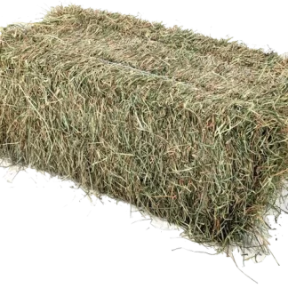 Foin de Prairie 30 bottes de ~25 kg / Commande mini 04 palettes